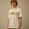Camicie a maniche corte a righe in jersey 30/1